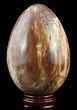 Colorful, Polished Petrified Wood Egg - Madagascar #51662-1